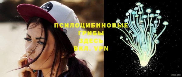 соль ск Протвино